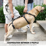 Dog Lift Harness with Handles for Senior Dogs and Rear Support