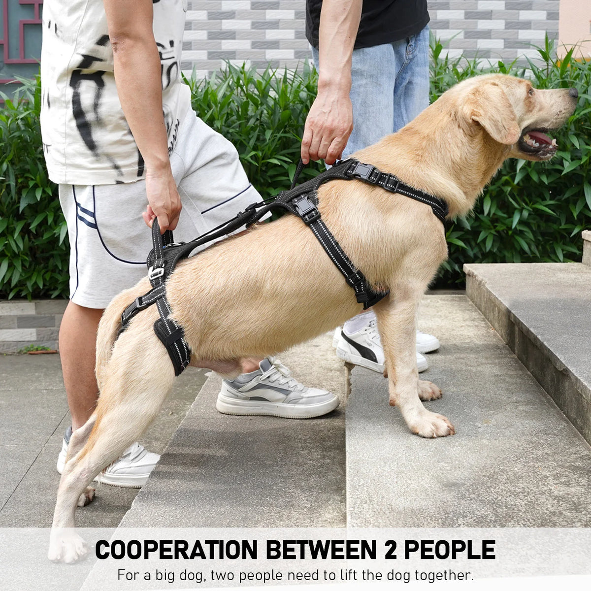 Dog Lift Harness with Handles for Senior Dogs and Rear Support