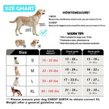 No Pull Dog Harness and Leash Set with Front and Back Clips