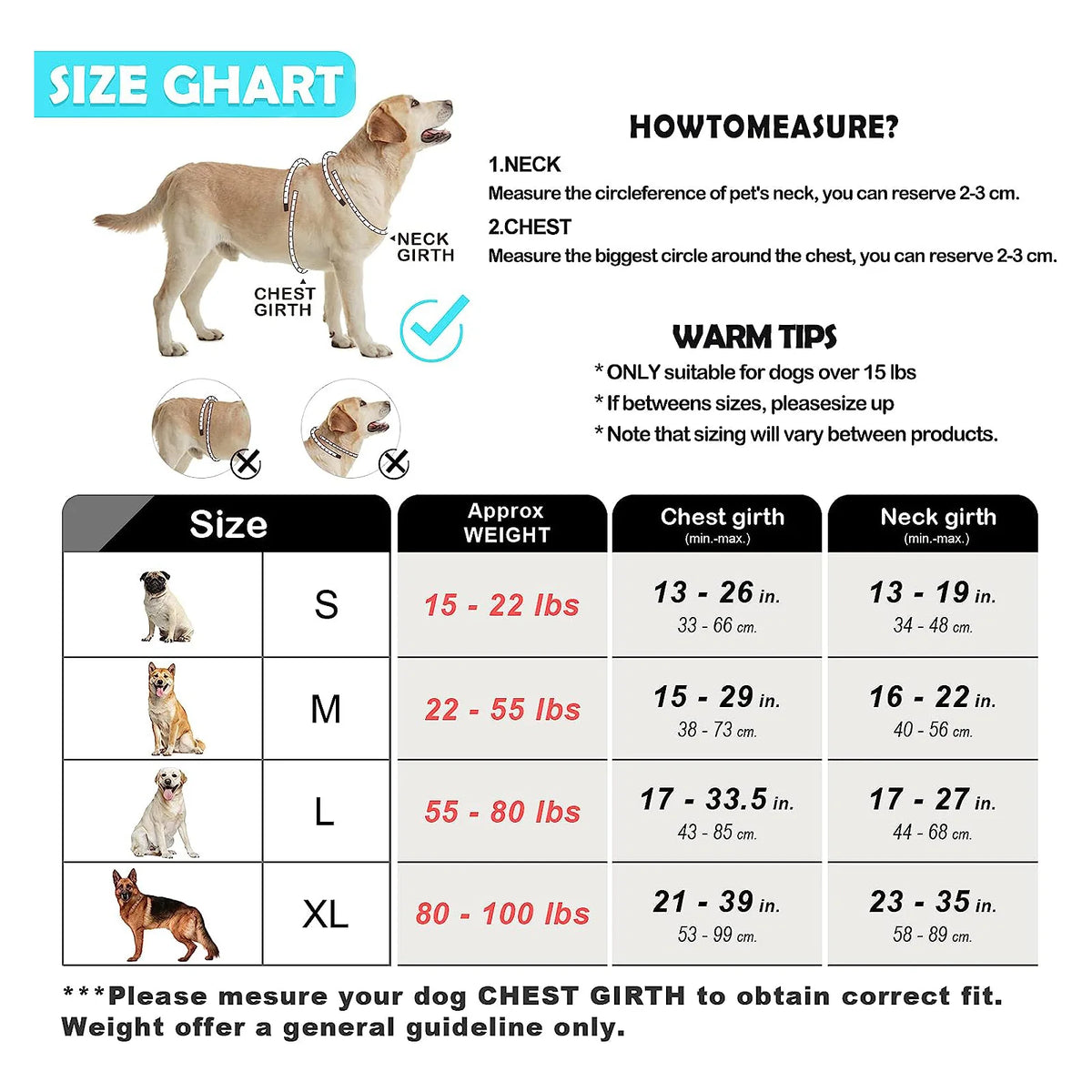 No Pull Dog Harness and Leash Set with Front and Back Clips