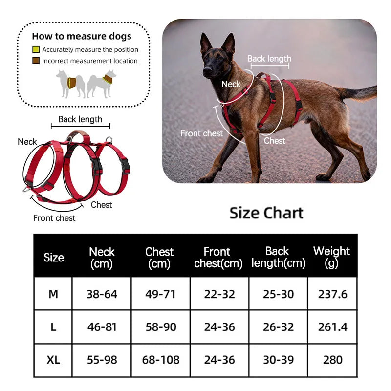 Three-Strap Escape Resistant Harness for Medium and Large Dogs