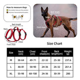 Three-Strap Escape Resistant Harness for Medium and Large Dogs