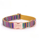 Personalized Dog Collar with Engraved Name and Phone Buckle