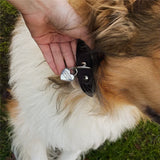 Personalized Dog ID Tag, Double-Sided Engraved Stainless Steel