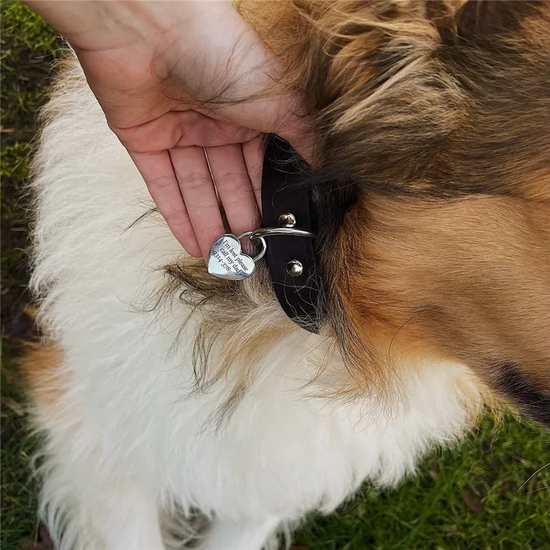 Personalized Dog ID Tag, Double-Sided Engraved Stainless Steel