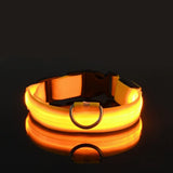 LED Light-Up Nylon Dog Collar with D-Ring and Buckle