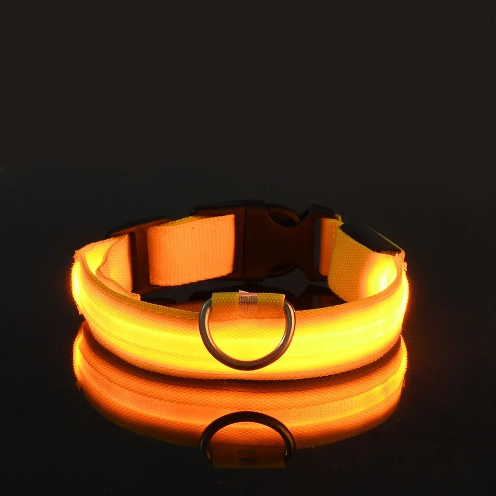 LED Light-Up Nylon Dog Collar with D-Ring and Buckle