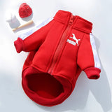 Dog Baseball Jacket for Fall and Winter