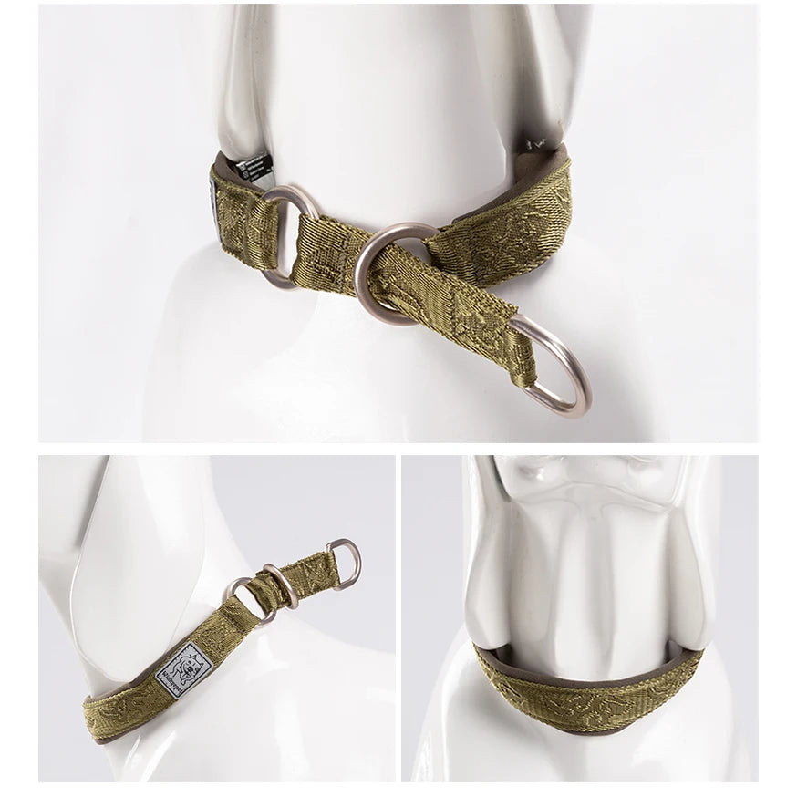 Greyhound Martingale Collar with Neoprene Padding, XXS to 3XL