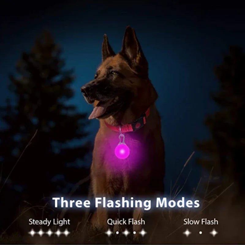LED Dog Collar Light Pendant with 3 Modes, 6 Colors