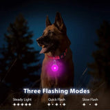 LED Dog Collar Light Pendant with 3 Modes, 6 Colors