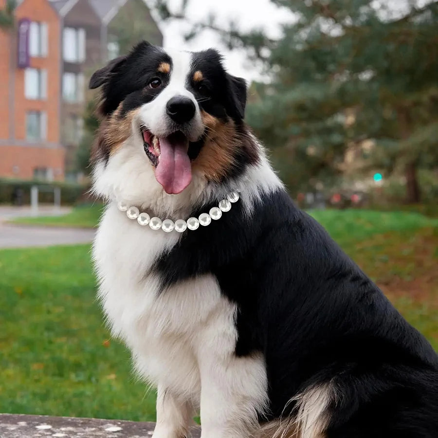 Pearl Dog Necklace for Medium and Large Dogs, Adjustable Fit