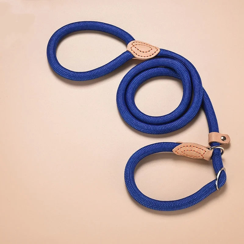 Braided Rope Slip Lead for Small and Medium Dogs