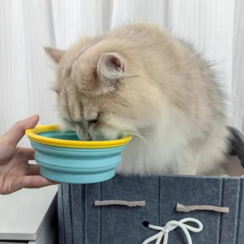 Clip-On Hiking Dog Bowl, Folds Flat for Trails and Road Trips