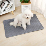 Washable Dog Pee Pad, Reusable Puppy Training Mat with Non-Slip Back