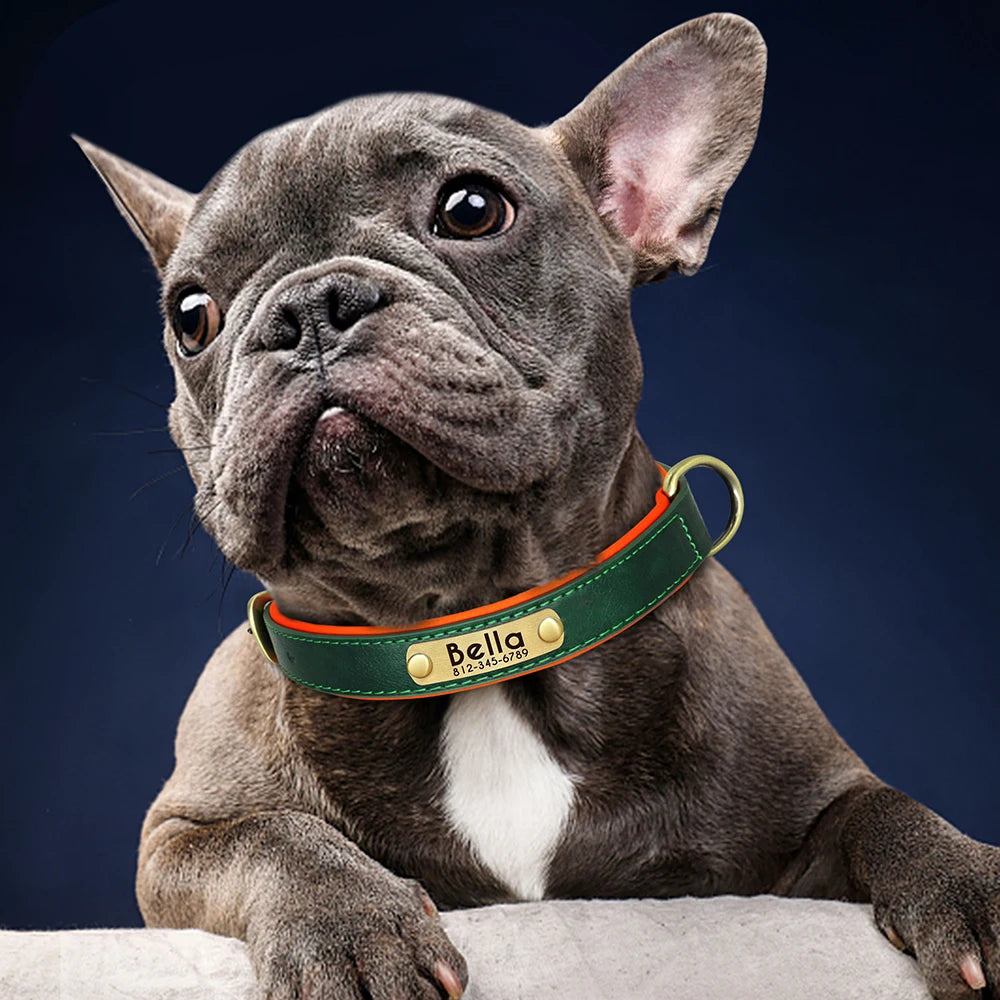 PU Leather Dog Collar with Engraved Nameplate ID Tag, Padded