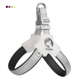 Y-Shaped Dog Harness, Reflective and Padded, Sizes S-XL