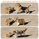 Elevated Dog Bowls, 15 Degree Tilted Stand, 2 Stainless Steel Bowls Dog Feeder