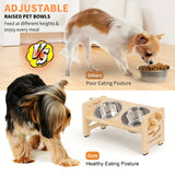 Elevated Dog Bowls, 15 Degree Tilted Stand, 2 Stainless Steel Bowls Dog Feeder