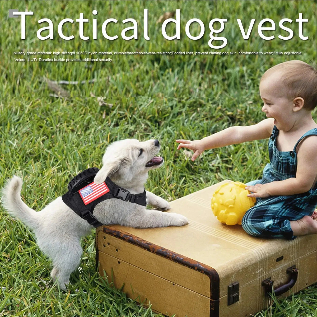 Military Style Vest Harness for Puppies and Small Dogs