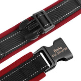 Personalized Dog Collar with Engraved Nameplate, Padded Nylon
