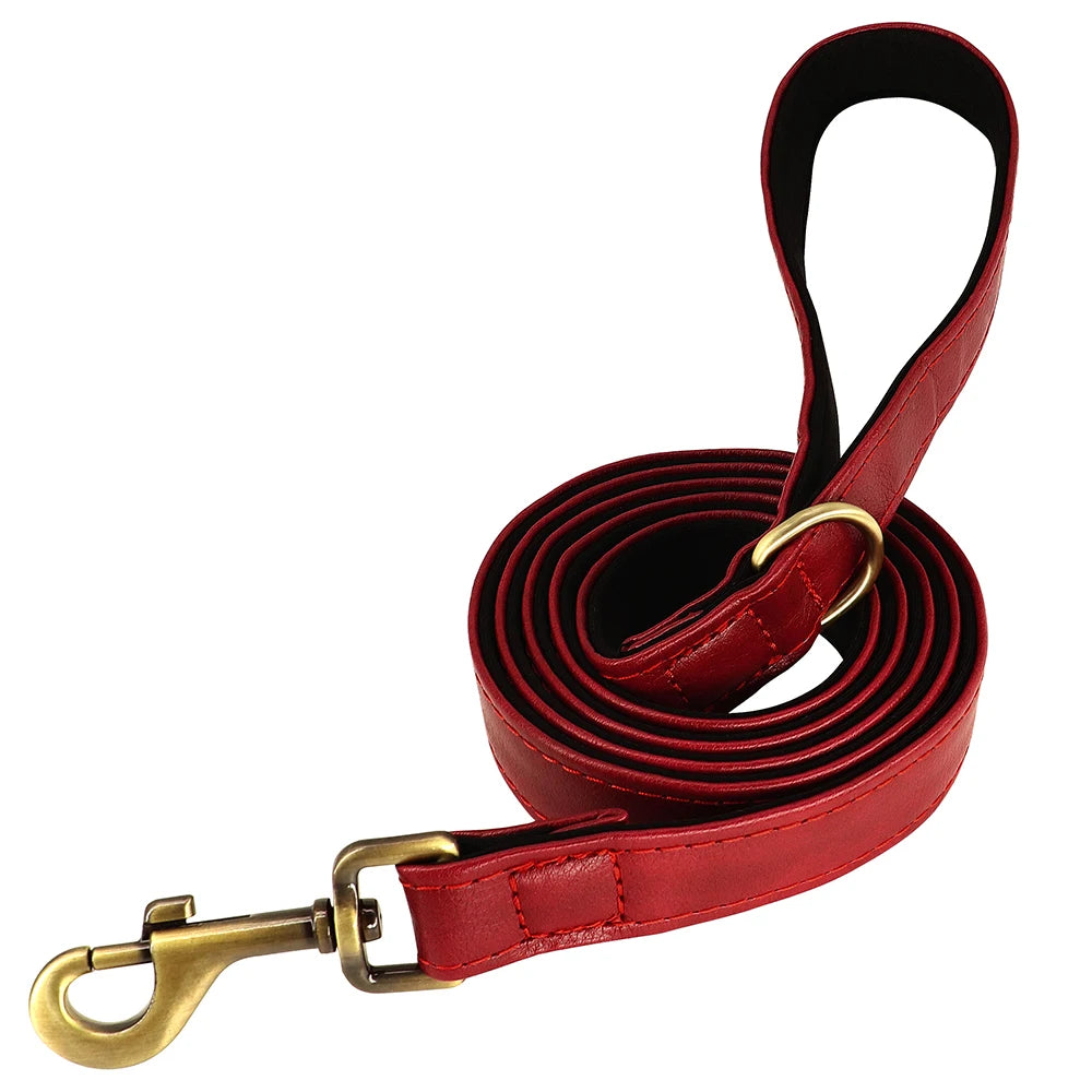 Personalized Dog Collar and Leash Set with Engraved Nameplate