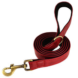Personalized Dog Collar and Leash Set with Engraved Nameplate