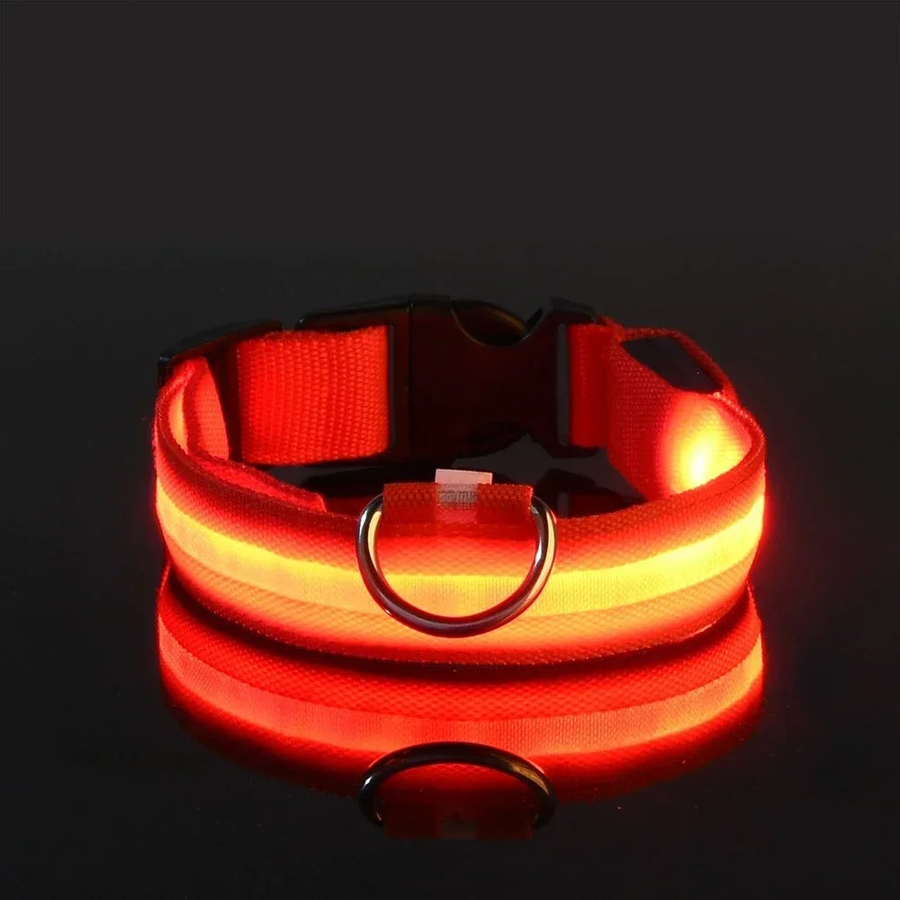 LED Light-Up Nylon Dog Collar with D-Ring and Buckle