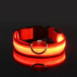 LED Light-Up Nylon Dog Collar with D-Ring and Buckle