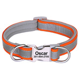 Personalized Reflective Dog Collar with Engraved Name Plate