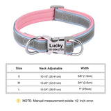 Custom Padded Nylon Dog Collar with Engraved Phone Number