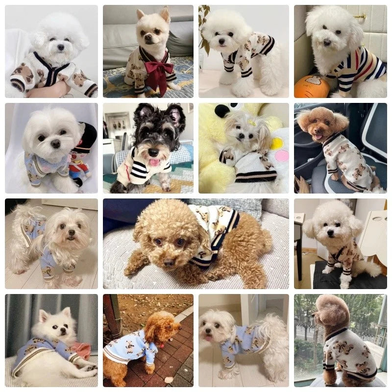 Knit Dog Cardigan Sweater for Small Dogs, Striped or Bear Print