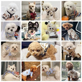 Knit Dog Cardigan Sweater for Small Dogs, Striped or Bear Print