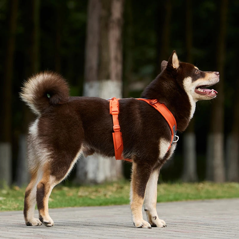 Y-Shaped No Pull Dog Harness with Front Clip, 3XS to 3XL