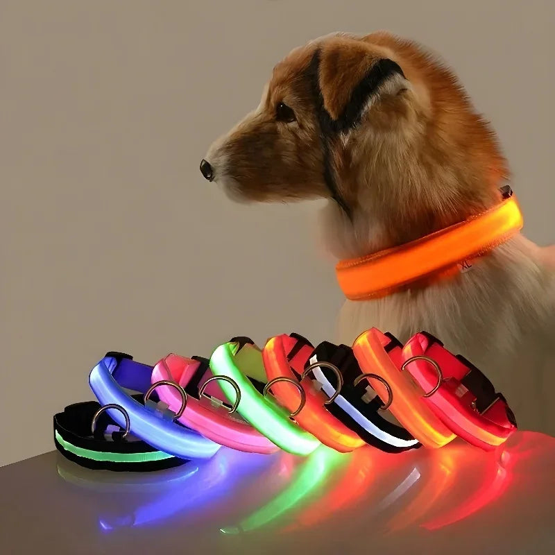 LED Light-Up Nylon Dog Collar with D-Ring and Buckle