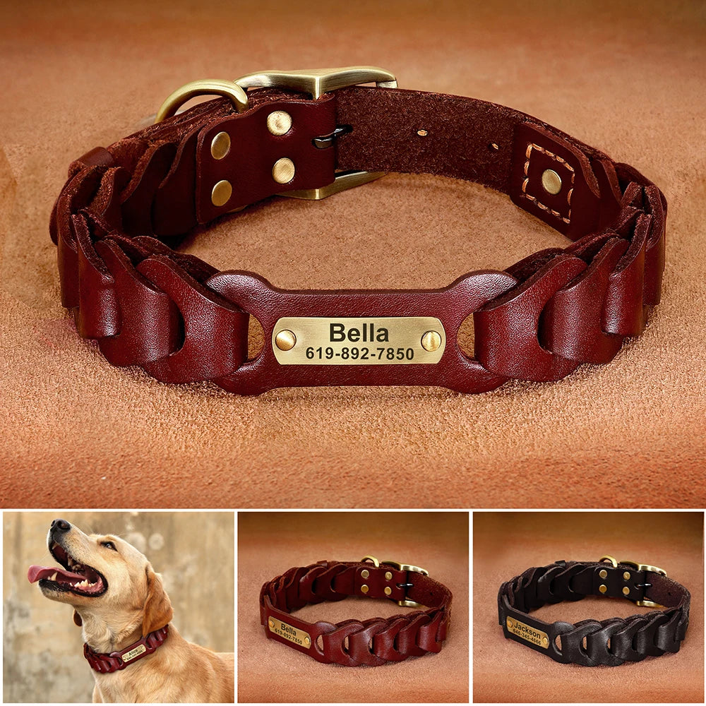 Genuine Leather Personalized Dog Collar for Pitbulls and Large Dogs