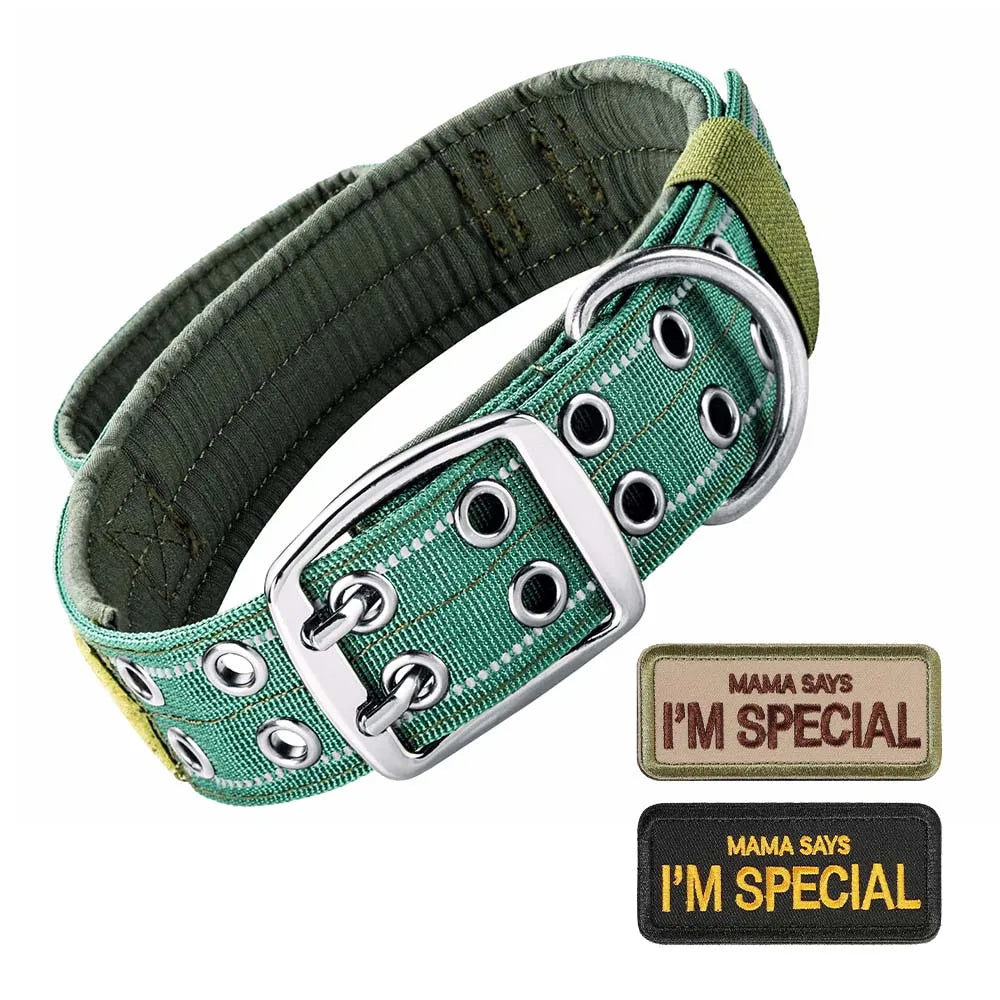 Tactical Dog Collar with Handle, Double Buckle and Patches