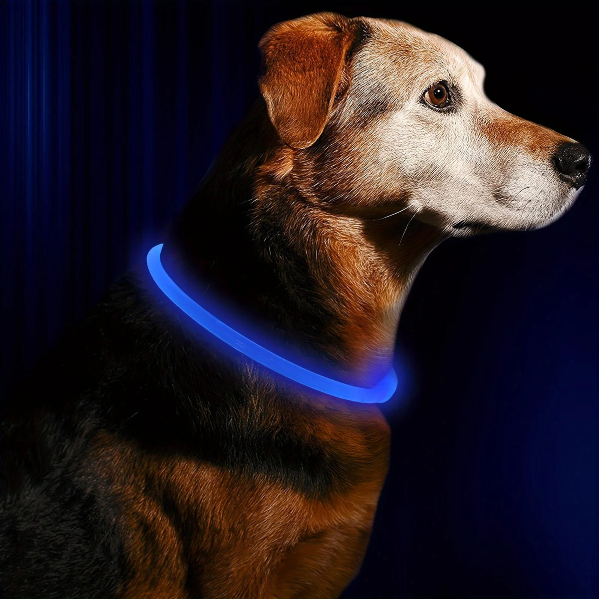Rechargeable LED Dog Collar, Cut-to-Fit Light-Up Ring