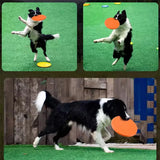 Soft Rubber Dog Frisbee That Floats, 7 Inch Flying Disc