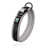 Personalized Collar for Large Dogs with Engraved Name Plate