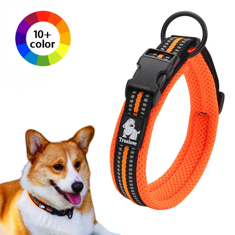 Soft Padded Dog Collar with Mesh Lining for Small to Large Dogs