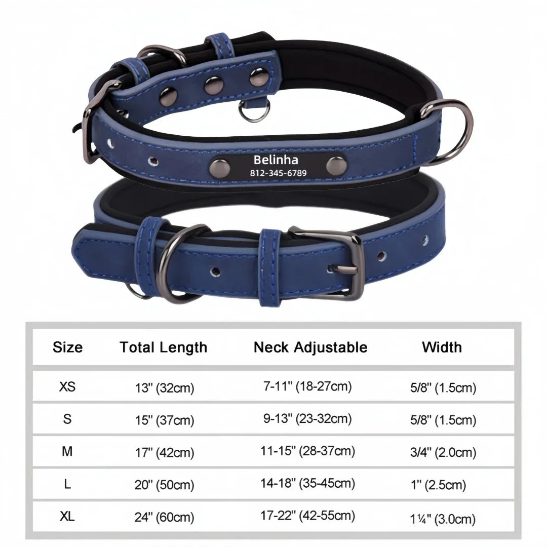 Personalized Padded Leather Dog Collar with Engraved Nameplate