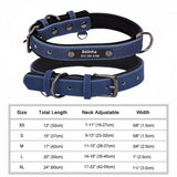 Personalized Padded Leather Dog Collar with Engraved Nameplate