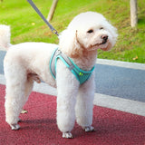 Small Dog Vest Harness and Leash Set, Reflective and Breathable