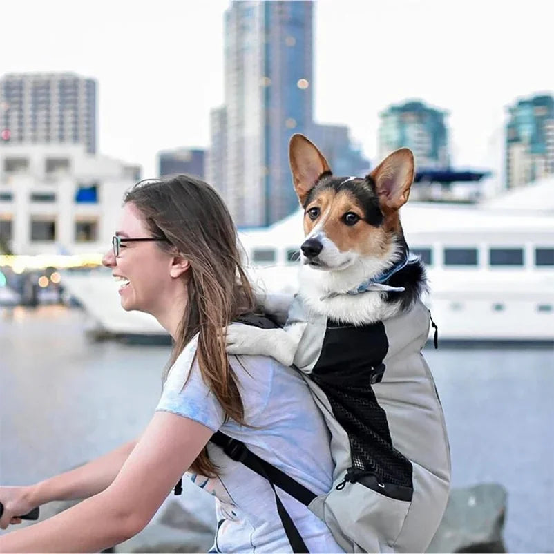 Reflective Motorcycle Dog Backpack with Cushioned Base