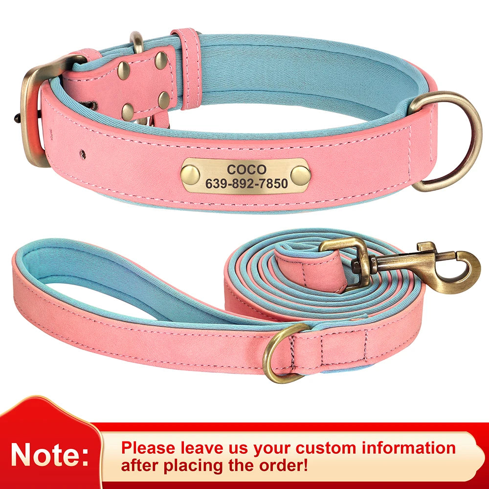 Personalized Leather Dog Collar with Engraved Nameplate, Pin Buckle