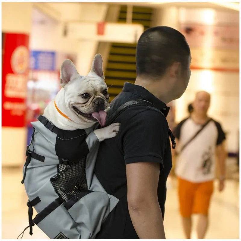 Breathable Nylon Motorcycle Dog Backpack Carrier in 4 Sizes up to 33 lb