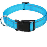 Soft Neoprene Padded Nylon Dog Collar for Medium Dogs