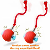 Automatic Rolling Ball Toy for Dogs, Rechargeable with 3 Modes
