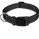 Soft Neoprene Padded Nylon Dog Collar for Medium Dogs